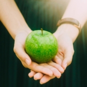 gezondheid gezondheid